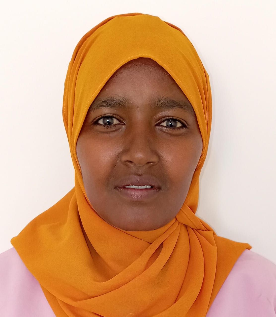ALEMNESH TADESE LEMA